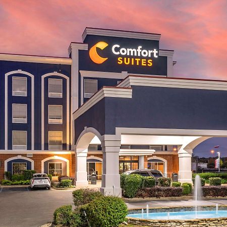 Comfort Suites Olive Branch - Memphis South Exteriör bild